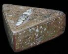 Fossil Orthoceras Box (Triangle) - Stoneware #35277-1